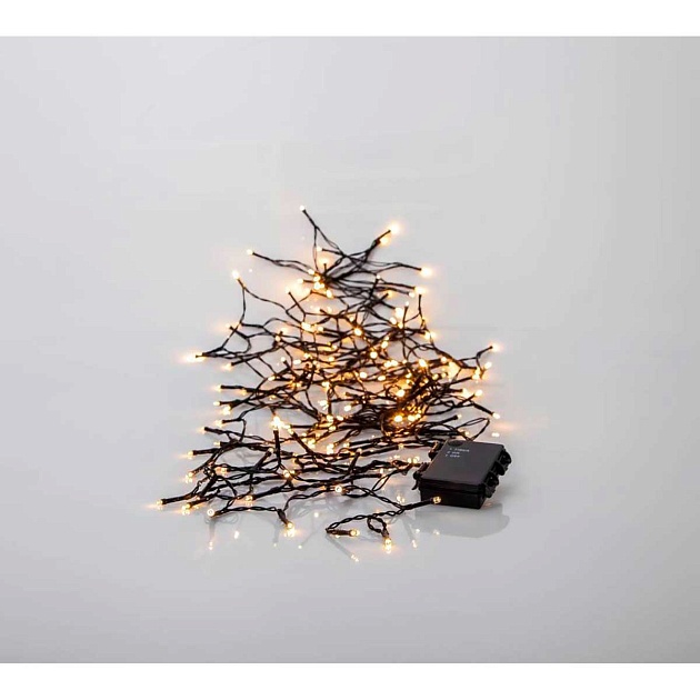 Светодиодная гирлянда Eglo AKKU 411077 изображение 1 Светодиодная гирлянда Eglo AKKU 411077 Фото № 1