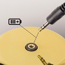 Настольная лампа Loft IT Brothers 10233/A Gold 2