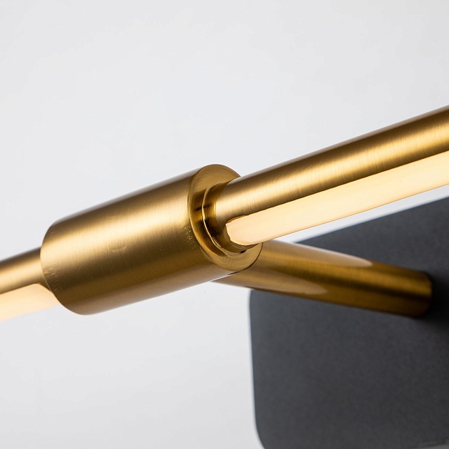 Подсветка для картин Favourite Insight 4016-1W изображение 6 Подсветка для картин Favourite Insight 4016-1W Фото № 6