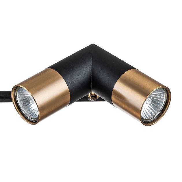 Подвесная люстра Indigo Doppio 11036/6R Black V000452 изображение 2 Подвесная люстра Indigo Doppio 11036/6R Black V000452 Фото № 2