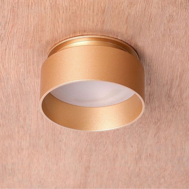 Встраиваемый светильник Favourite Inserta 2885-1C Фото № 2