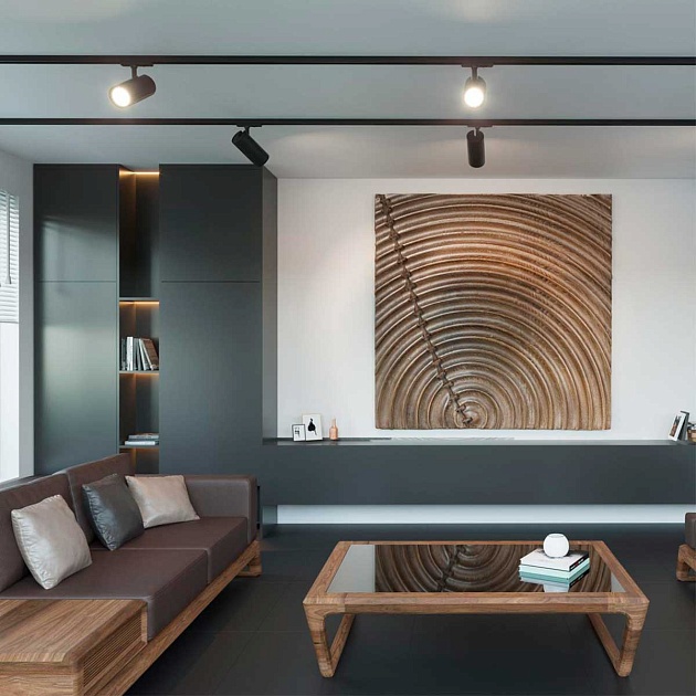 Трековый светильник однофазный двухжильный Novotech SELENE 359158 изображение 3 Трековый светильник однофазный двухжильный Novotech SELENE 359158 Фото № 3