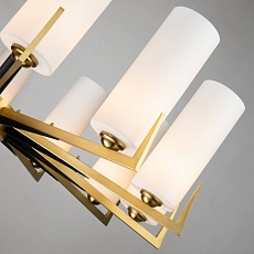 Подвесная люстра Favourite Maximo 2623-12P 4