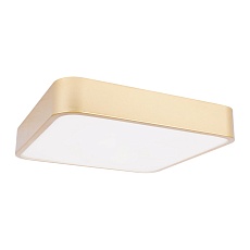 Потолочный светодиодный светильник Loft IT Flims 10228/C 1