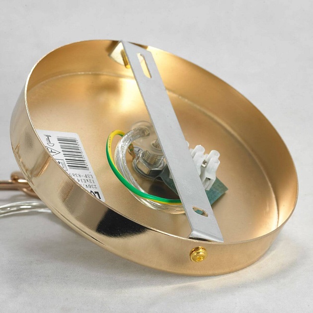 Подвесная люстра Lussole Topgrade Shelby GRLSP-8385 Фото № 5