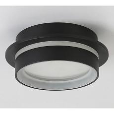 Потолочный светильник Ambrella light TN5385 3