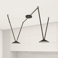 Трековая ременная система Denkirs Belty Set DK55SET03-01-DG