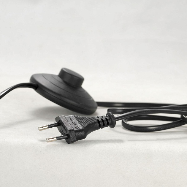 Торшер Lussole Lgo LSP-0607 Фото № 2