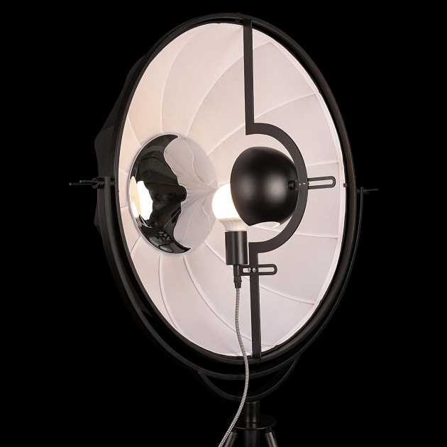 Торшер Loft IT Studio 10301/M изображение 6 Торшер Loft IT Studio 10301/M Фото № 6