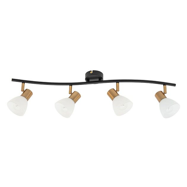 Спот Arte Lamp Falena A3117PL-4BK Фото № 1