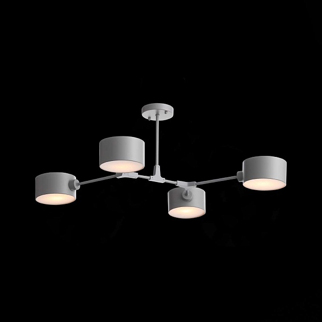 Потолочная люстра Evoluce Gimento SLE183702-04 Фото № 6