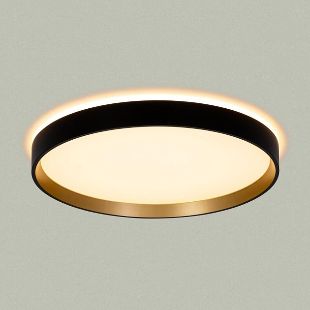 Светильник с пультом Citilux ETALON CL750321R изображение 15 Светильник с пультом Citilux ETALON CL750321R Фото № 15