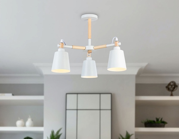 Потолочная люстра Ambrella light Traditional Loft TR82204 изображение 8 Потолочная люстра Ambrella light Traditional Loft TR82204 Фото № 8