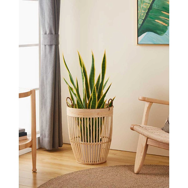 Корзина декоративная Eglo NARAHA 426512 Фото № 3