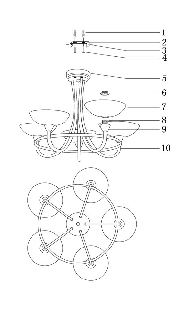 Подвесная люстра Moderli Lione V1204-5C Фото № 2
