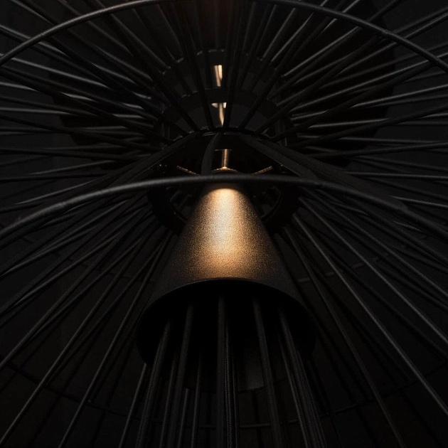 Подвесной светильник Loft IT Star 10141/400 Black Фото № 2