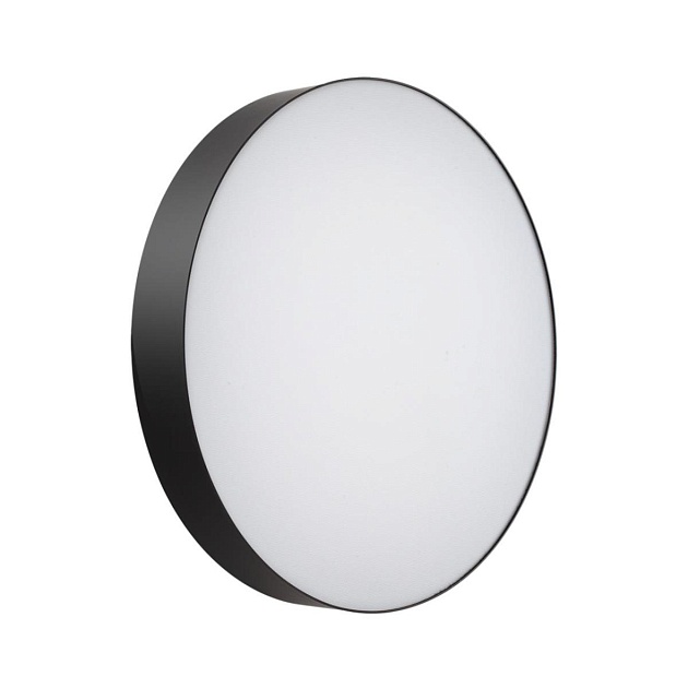 Настенно-потолочный светильник Sonex BASICA 7780/ELN Фото № 1