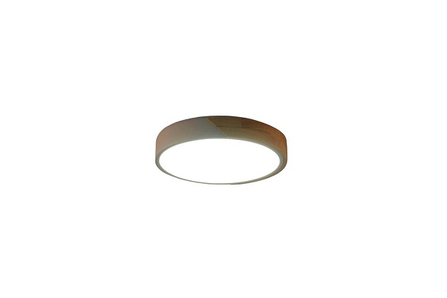 Потолочный светильник Zortes ALBERRO ZRS.01239.90 изображение 3 Потолочный светильник Zortes ALBERRO ZRS.01239.90 Фото № 3