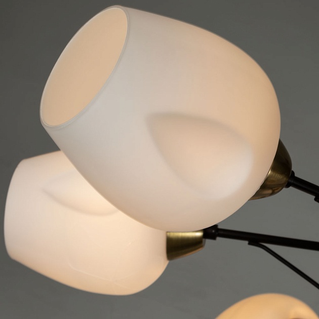 Потолочная люстра Arte Lamp Brighton A2706PL-8CK изображение 2 Потолочная люстра Arte Lamp Brighton A2706PL-8CK Фото № 2
