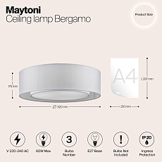 Потолочный светильник Maytoni Bergamo MOD617CL-04GR 1