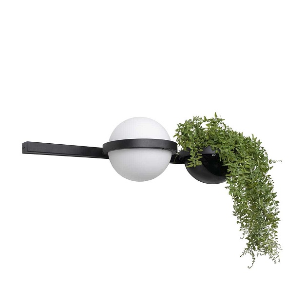 Настенный светильник LOFT IT Jardin 10121W/A Фото № 2