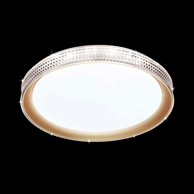 Настенно-потолочный светодиодный светильник Sonex Pale Shiny 3054/DL Фото № 3