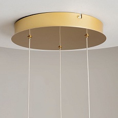 Подвесная светодиодная люстра Maytoni Foresight MOD347PL-L24BS3K 3