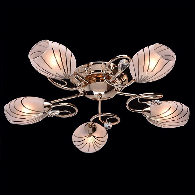 Потолочная люстра MW-Light Фиеста 267012005 изображение 4 Потолочная люстра MW-Light Фиеста 267012005 Фото № 4