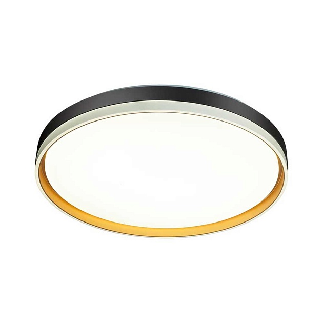 Настенно-потолочный светодиодный светильник Sonex Savi 7619/EL Фото № 2