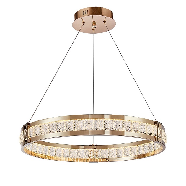 Подвесная светодиодная люстра Favourite Theatrum 4206-6P Фото № 1