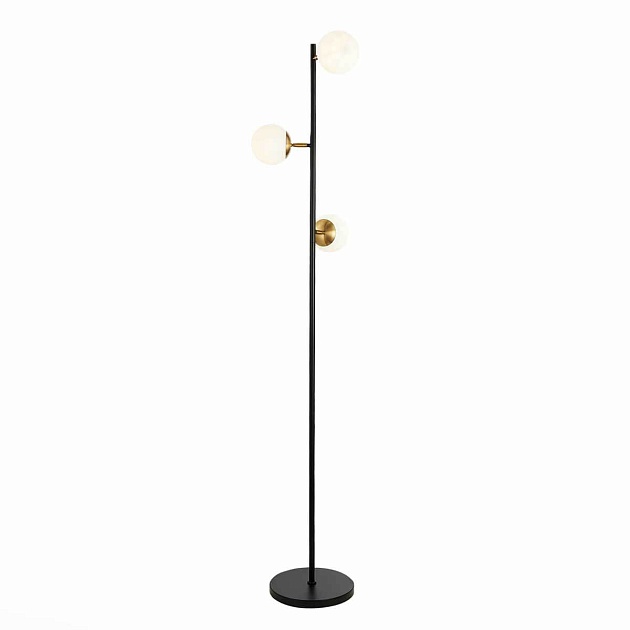 Торшер Evoluce FORLI SLE220405-03 Фото № 1