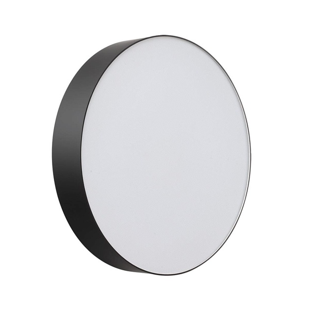 Настенно-потолочный светильник Sonex BASICA 7780/DLN Фото № 1