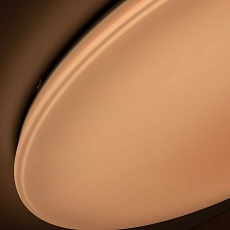 Потолочный светодиодный светильник Citilux Старлайт Смарт CL703A201G 1