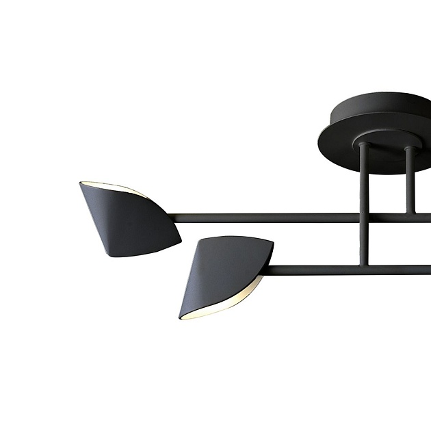 Потолочная светодиодная люстра Mantra Capuccina 7582 изображение 4 Потолочная светодиодная люстра Mantra Capuccina 7582 Фото № 4