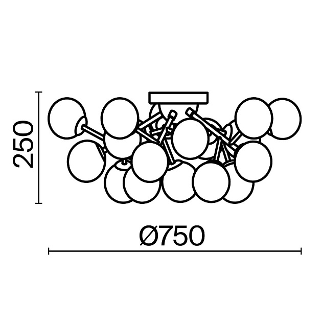 Потолочная люстра Maytoni Dallas MOD545PL-20CH Фото № 3