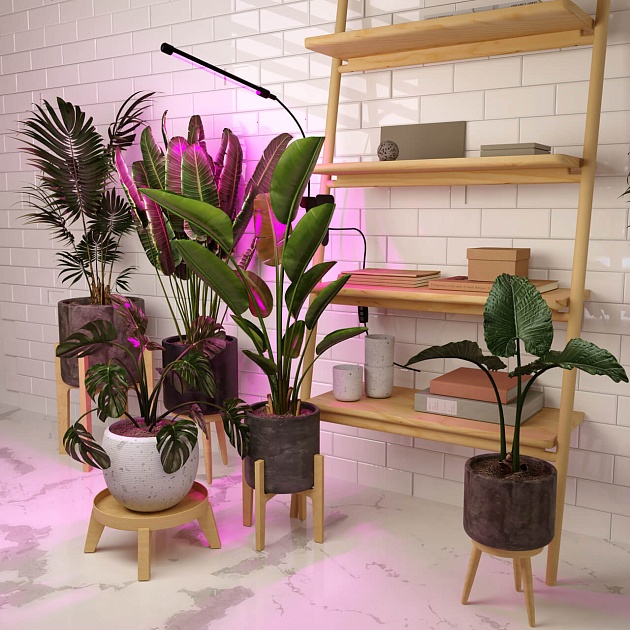 Светодиодный светильник для растений Elektrostandard FT-004 a052889 изображение 9 Светодиодный светильник для растений Elektrostandard FT-004 a052889 Фото № 9