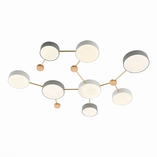 Потолочный светильник Evoluce DOSSENA SLE600102-08 Фото № 2