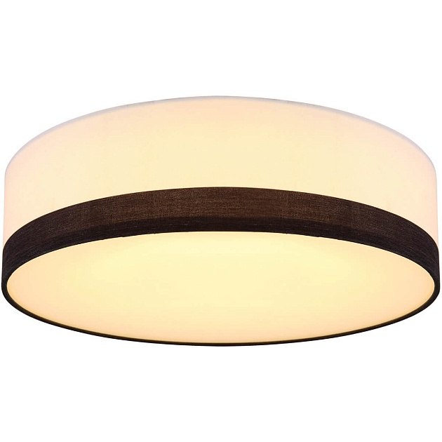 Потолочный светодиодный светильник Globo Maggy 15385D1 Фото № 1