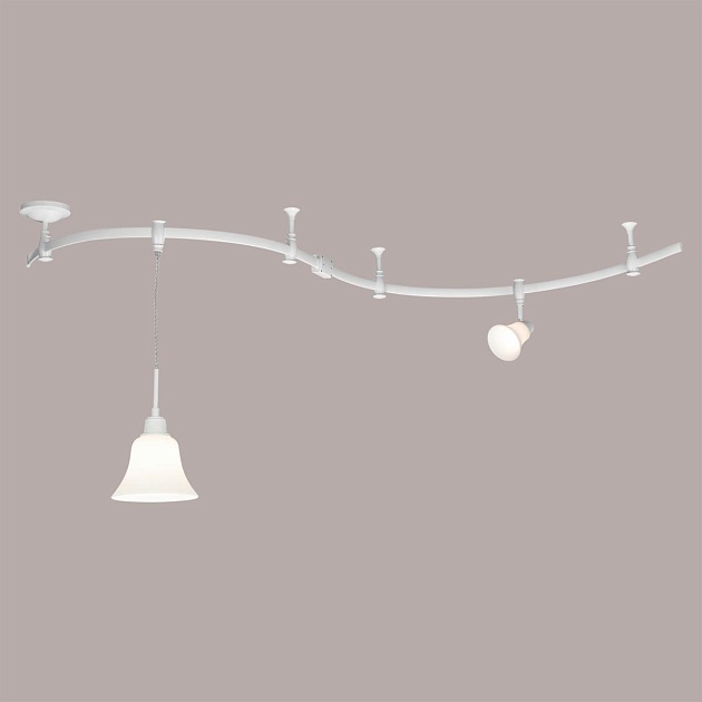 Трековый светильник Citilux Модерн CL560210 Фото № 2