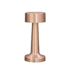 Настольная лампа Aployt Perrayn APL.671.04.01