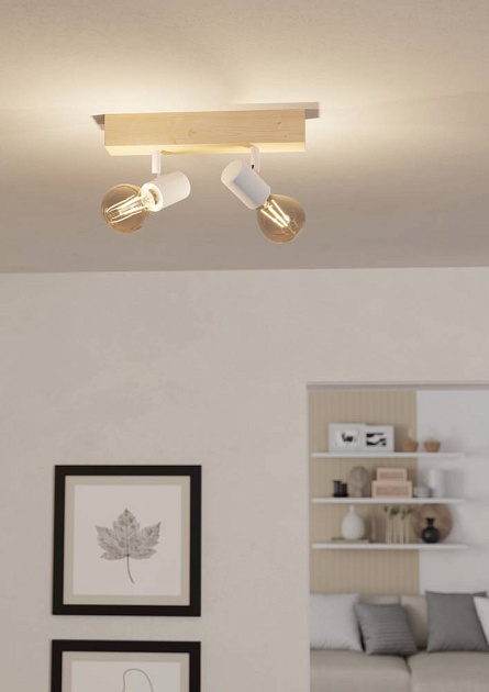 Спот Eglo Townshend 3 99483 Фото № 3