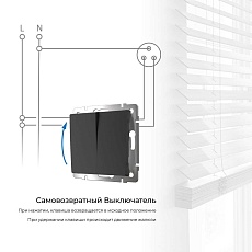Выключатель двухклавишный с самовозвратом Werkel черный матовый W1122408 4690389192340 1
