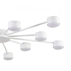 Люстра Lumion COMFI 8343/12C 5