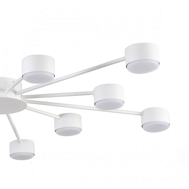 Люстра Lumion COMFI 8343/12C изображение 6 Люстра Lumion COMFI 8343/12C Фото № 6