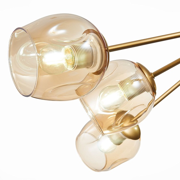 Потолочная люстра Evoluce Pallo SLE155412-10 Фото № 2