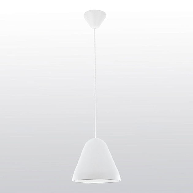 Подвесной светильник Lussole Jenkins LSP-7313 Фото № 1