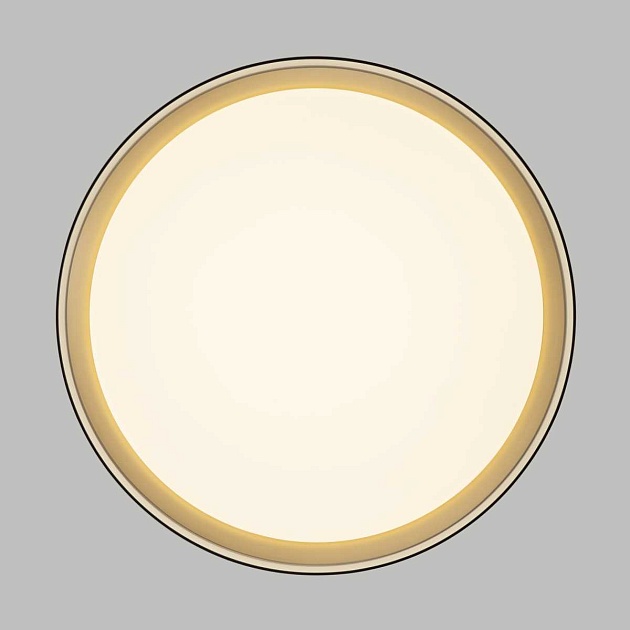 Потолочный светодиодный светильник Citilux Boss CL751351G Фото № 13