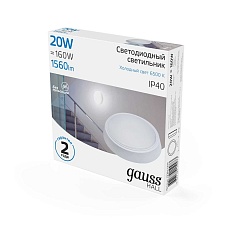 Настенно-потолочный светодиодный светильник Gauss Hall 193411320 3