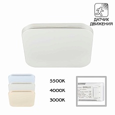 Потолочный светодиодный светильник Citilux Симпла CL714K24SV