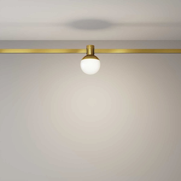 Трековый светильник Technical TR149-1-5W4K-BS Фото № 4